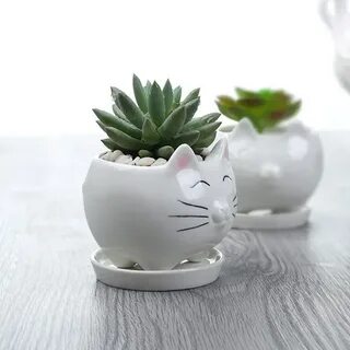Коте горшок