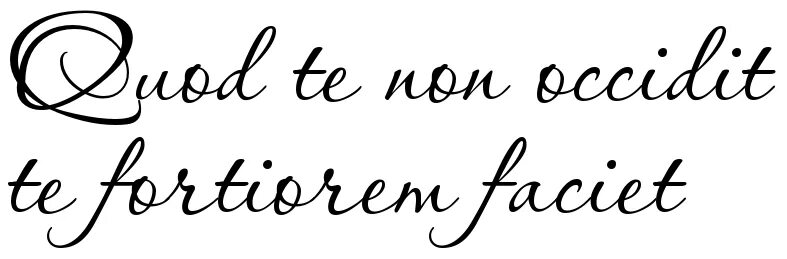 Quod mē nōn Necat mē fortiōrem facit. Esto quod es тату. Шрифт omnes. Quod me non Necat me fortiorem facit.