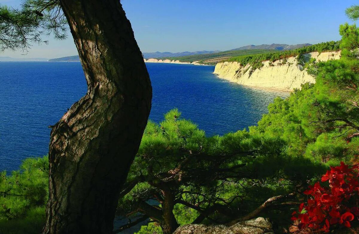 Юг россии. Черное море Краснодарский край. Черное море Геленджик. Кубань Краснодарский край море. Кубань черное море.