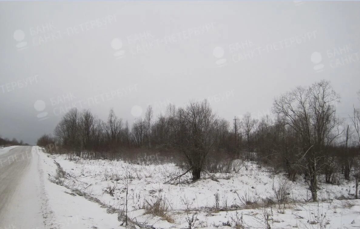 Шилыково ивановская область. Погода шилыково на 10 дней вперед. Погода в нижневартовске на 10. Шилыково ивановская область. Шилыково ивановская область монастырь.
