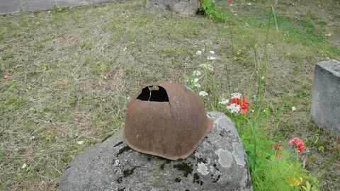 Защитить погибнуть