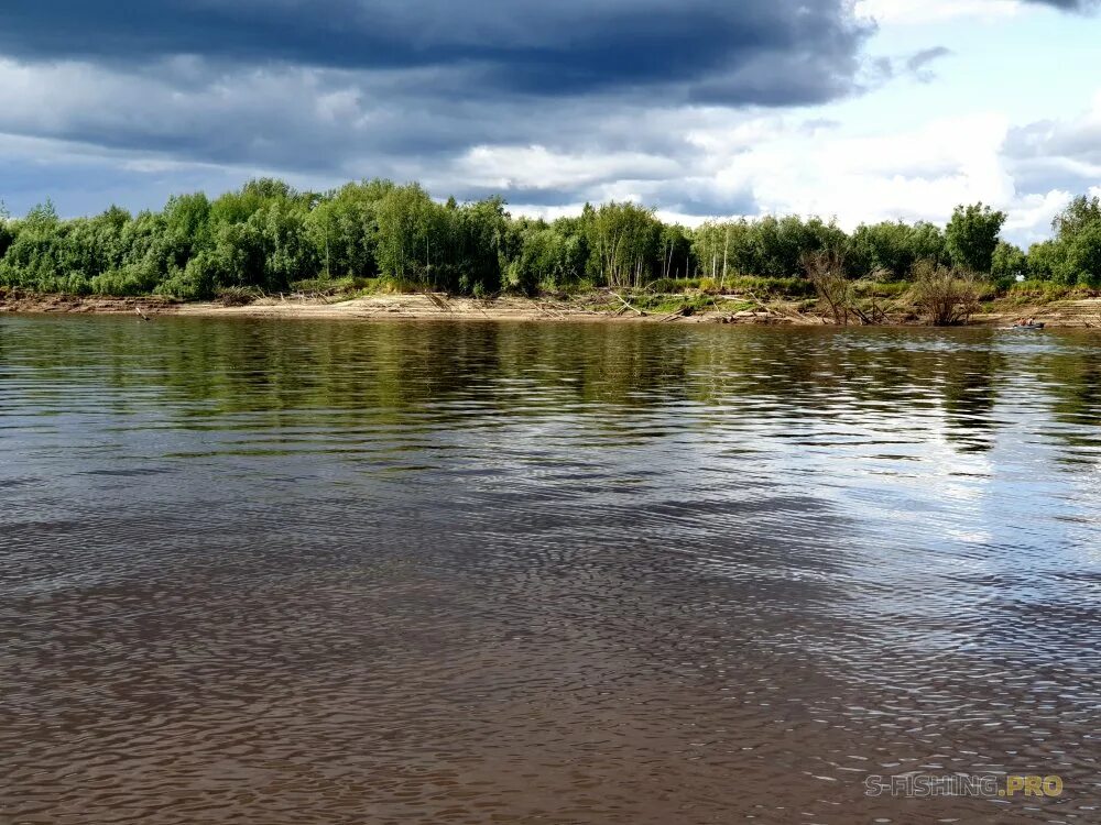 Сургут обь вода. Река Обь ХМАО. Река Обь Сургут. Берег Оби Сургут. Реки ХМАО.