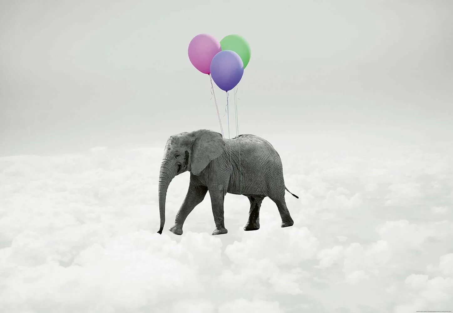 Зимний слоник. Слон на воздушных шариках. Заставка на рабочий стол слоны. Слоник с шариками. Слоненок с воздушными шарами.