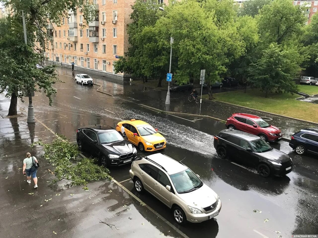 Ветер в москве сегодня. Ливень в москве. ливень в москве сегодня. дождь в москве. ливень и ветер в москве.