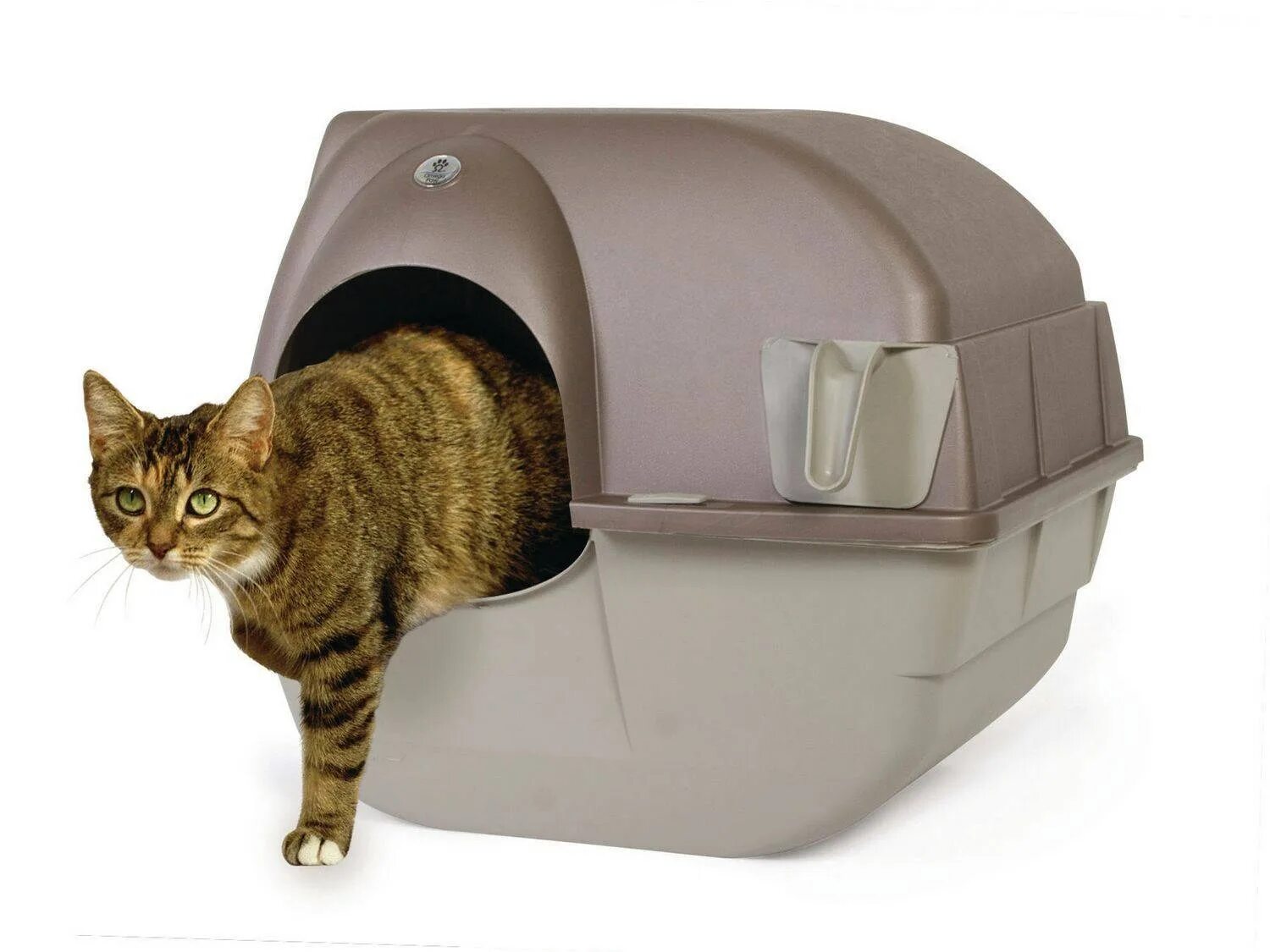 Кошачий туалет купить в москве. Туалет для кошек Cat Litter. Лоток  clean self Cleaning Cat Litter Box, large. Туалет бокс биотуалет wikilab для кошек. Угловой туалет для кошек закрытый.