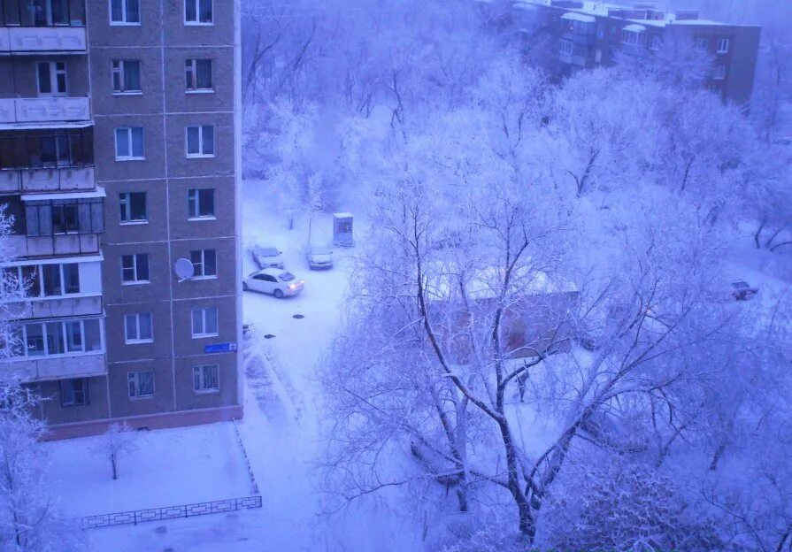 Обычный вид. Зимний вид с балкона. Вид с окна зимой. Многоэтажка зимой. Зимний вид из окна многоэтажки.
