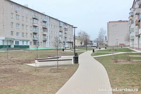 Поликор кинешма