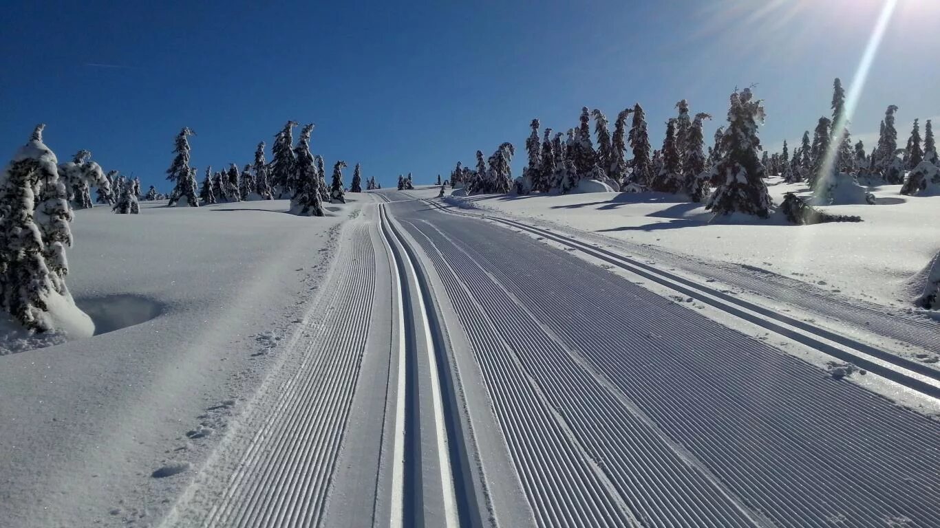 Skiing track. Лыжная трасса вершина Теи. Вершина Теи Хакасия трасса. Вершина Тёи Хакасия лыжная база. Зимняя лыжная трасса.