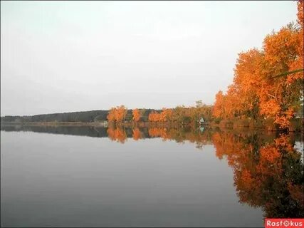 С павловск алтайский край