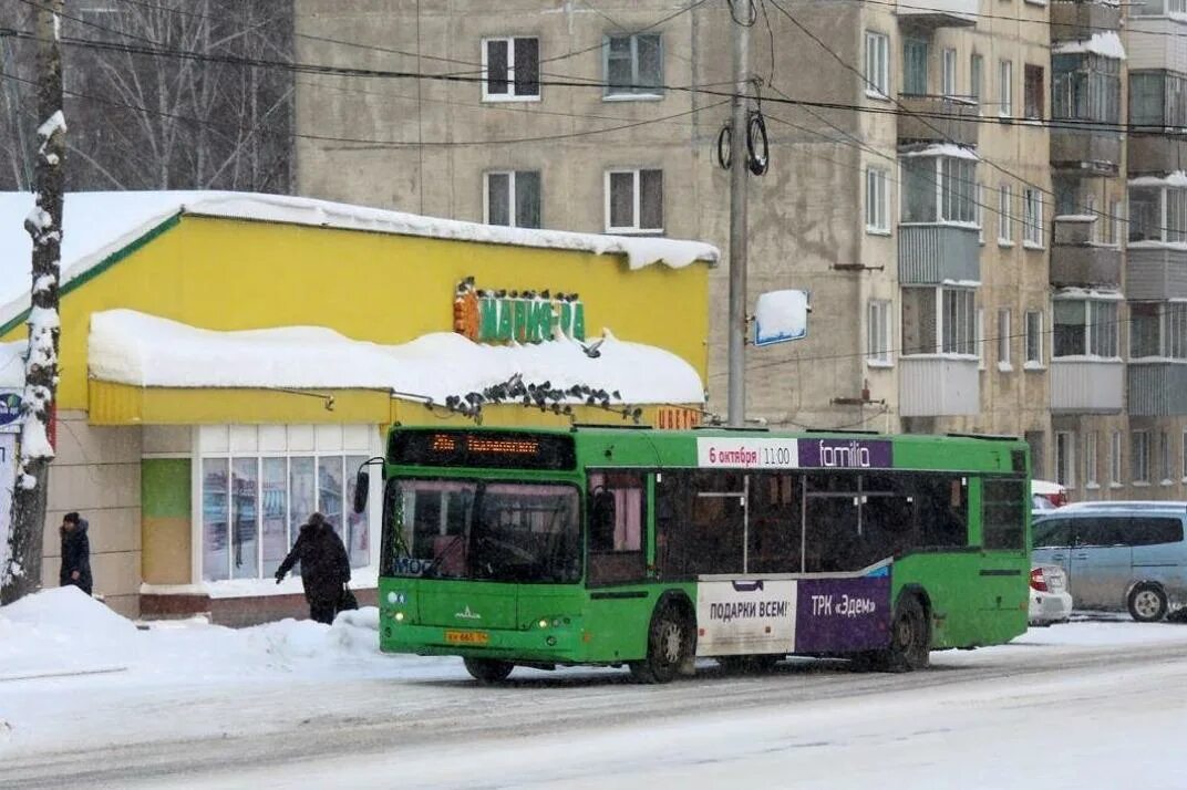 79 автобус новосибирск. Автобус 1 новосибирск. Новосибирский автобус маршрут 70. Новые автобусы новосибирск. Автобус 1 новосибирск.