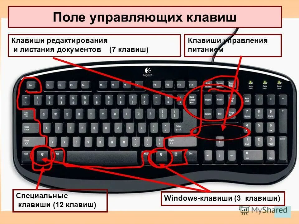 Клавиатура клавиши расположение. Кнопки на клавиатуре расшифровка. Клавиши редактирования на клавиатуре. Строение клавиш на клавиатуре. Клавиши и их функции на клавиатуре.