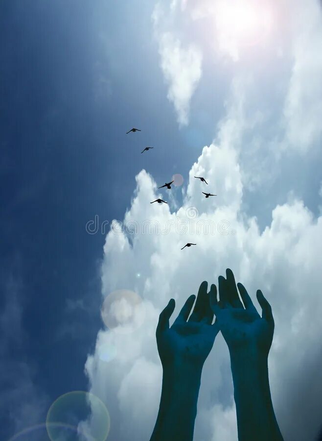 Отпускаю и в небо. Отпустить птицу в небо. Руки отпускают птицу. Отпускай и в небо. Прощание небес