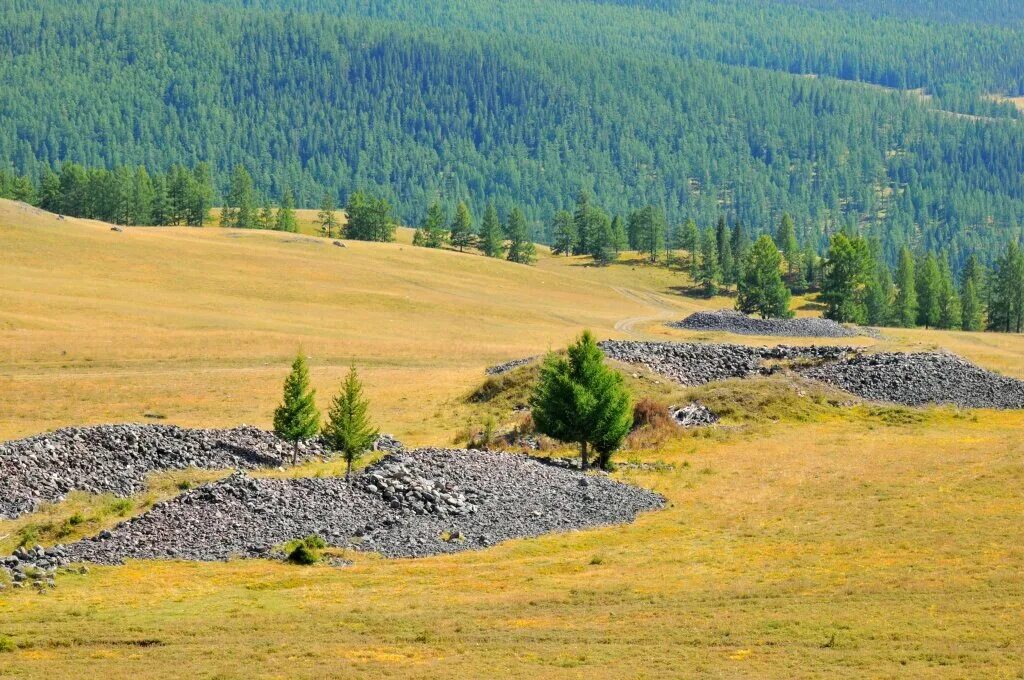 Курганы алтая