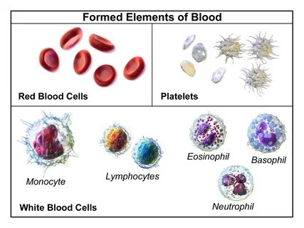 Element selection