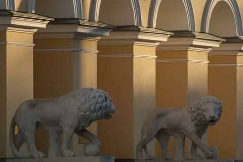 Four seasons lion st petersburg 5