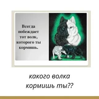 Какого волка ты кормишь
