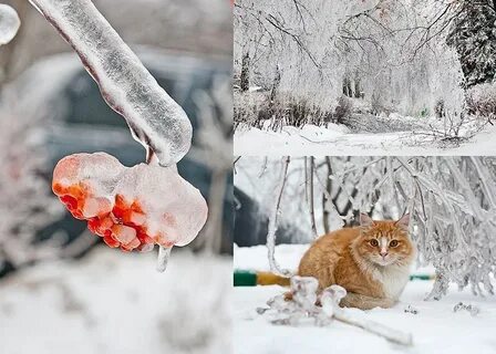 Доброе утро ледяной дождь