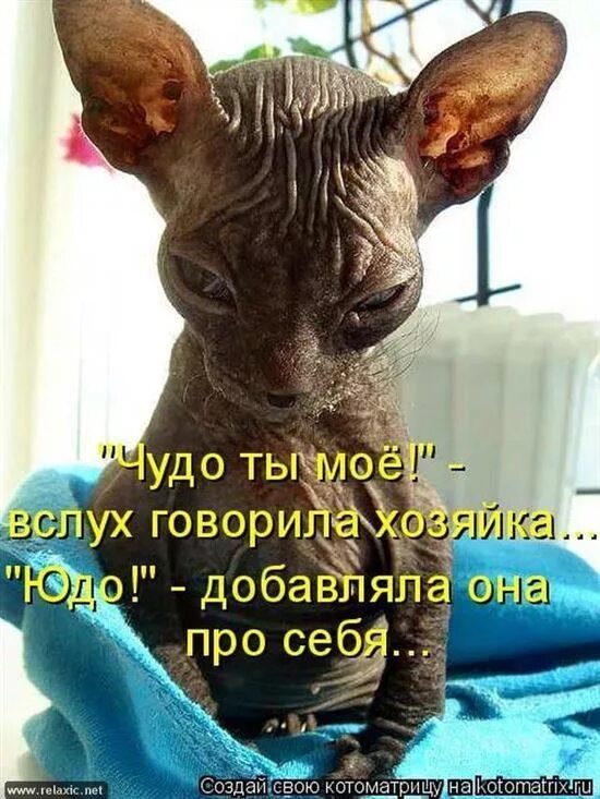 Фу не очень это вообще как