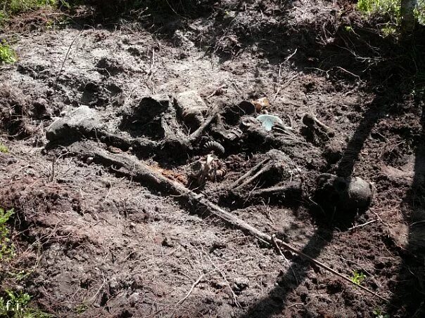 хлебное болото. хлебное болото. хлебное болото. хлебное болото. хлебное болото.