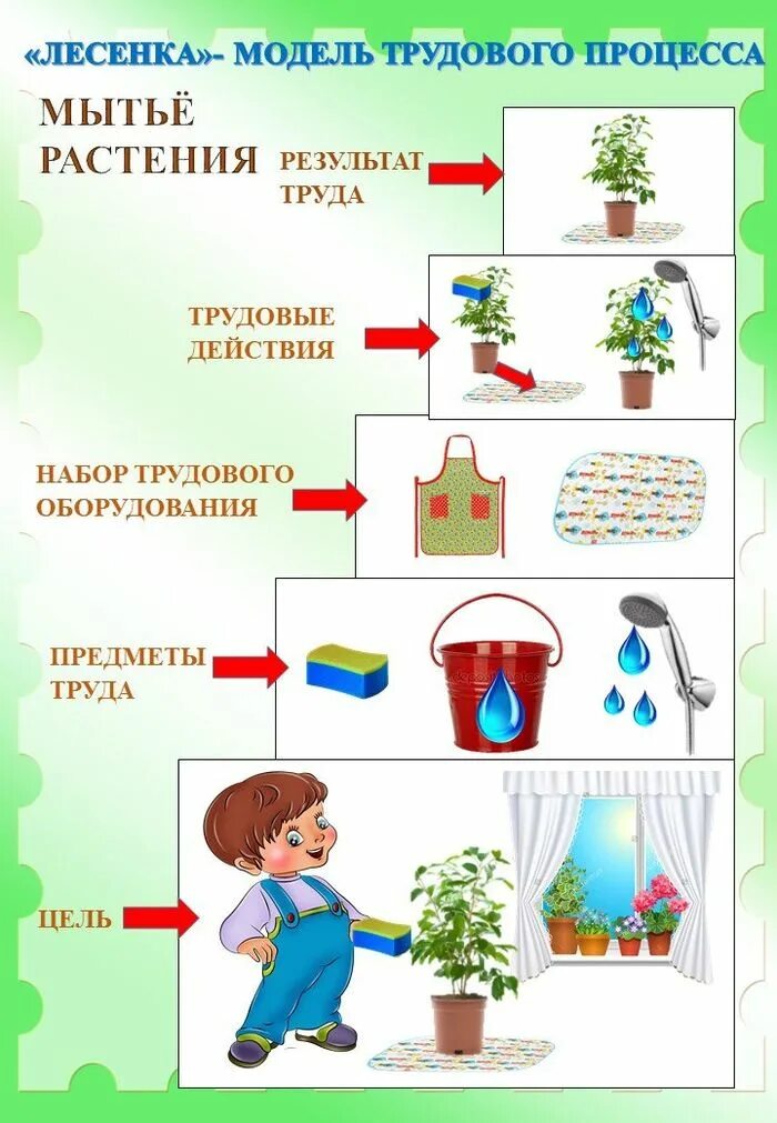 Алгоритм трудовых действий. Алгоритм ухода за комнатными растениями в ДОУ. Алгоритмы процессов ухода за растениями. Модель трудового процесса. Алгоритм ухаживания за растениями в детском саду.