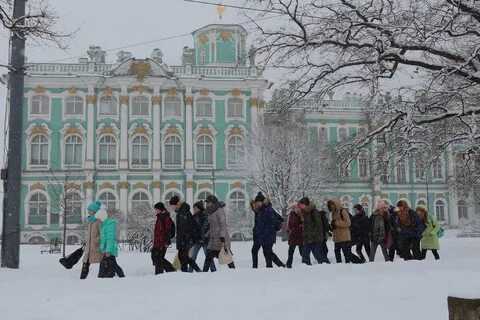 Школы мороз
