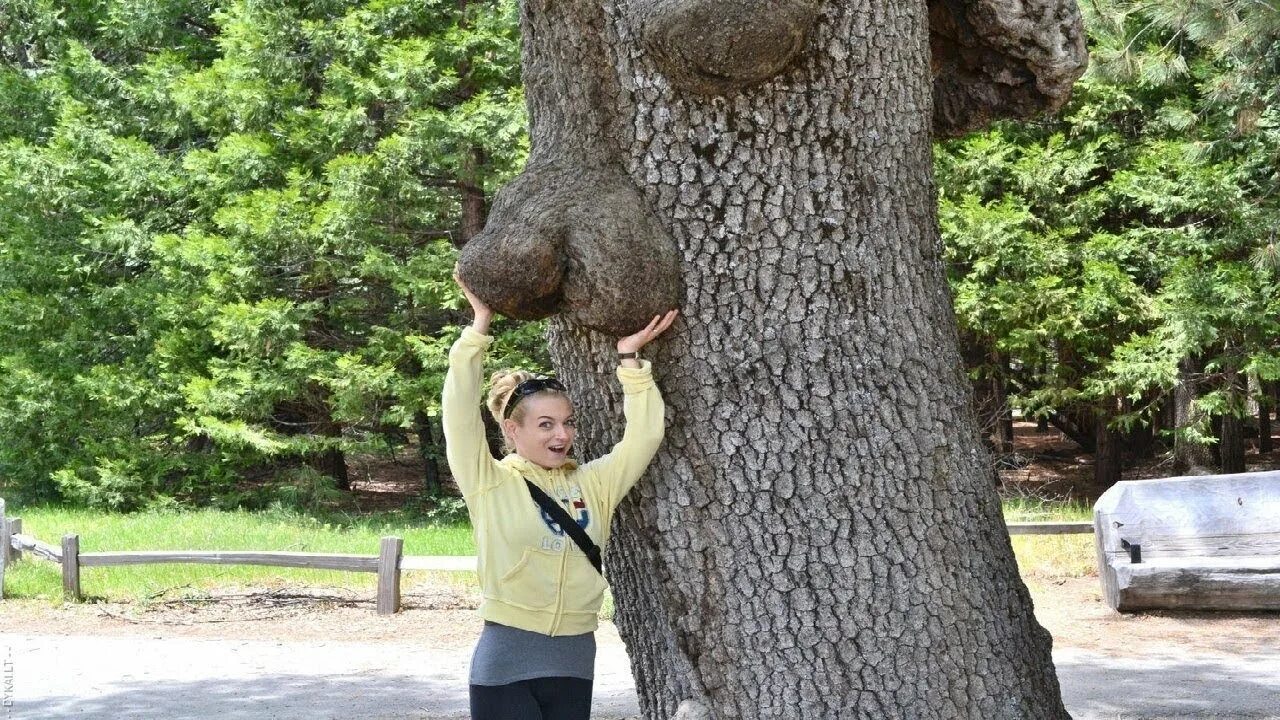 Какое смешное