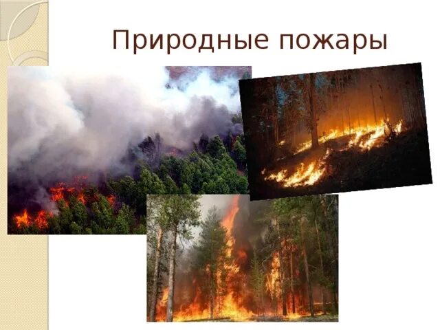 Природные пожары ЧС. Последствия природных пожаров. Природные пожары презентация. Природные пожары по ОБЖ. Природный пожар определение