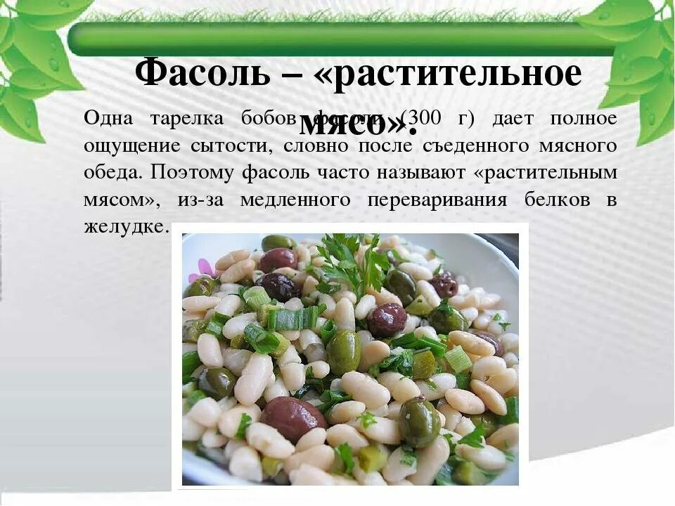 Польза фасоли для мужчин. Фасоль бобовая. Фасоль полезна. Чем полезна фасоль. Самая полезная фасоль.