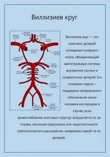 Круг то что было текст