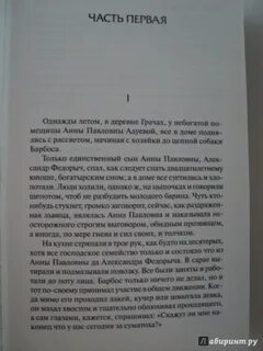Однажды летом в деревне грачах у небогатой