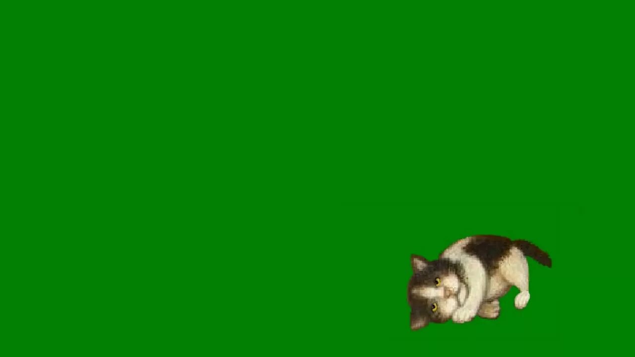 Кот хрустит хромакей. Кот хромакей. кот на зеленом фоне. котёнок на хромакее. хромакей котенок на зеленом фоне.