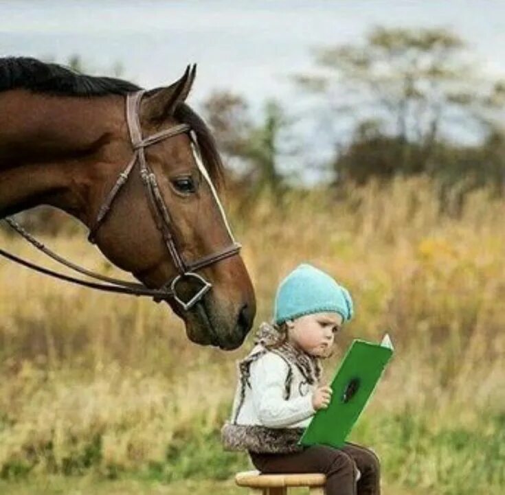 А если я пришел