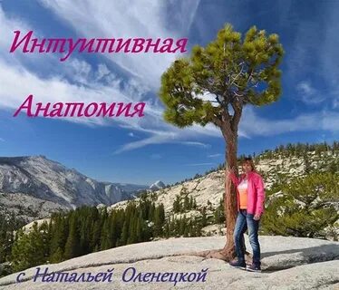 Интуитивная анатомия