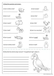 Animals - Can: English ESL worksheets pdf & doc