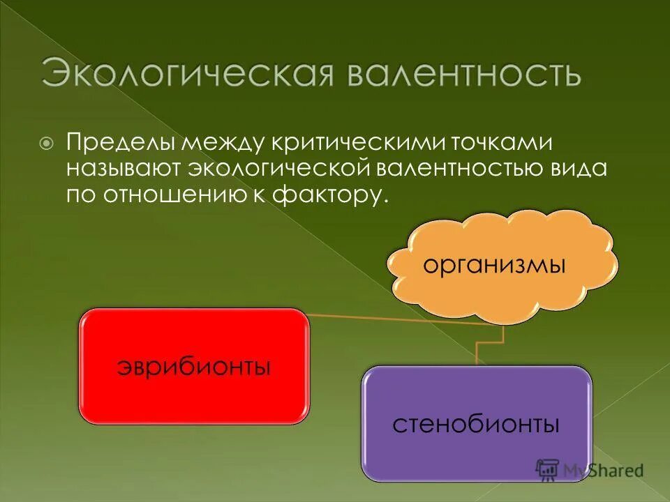 экологическая валентность вида. экологическая валентность это. ампилогическая валентность. экологическая валентность это. экологическая пластинчатость.