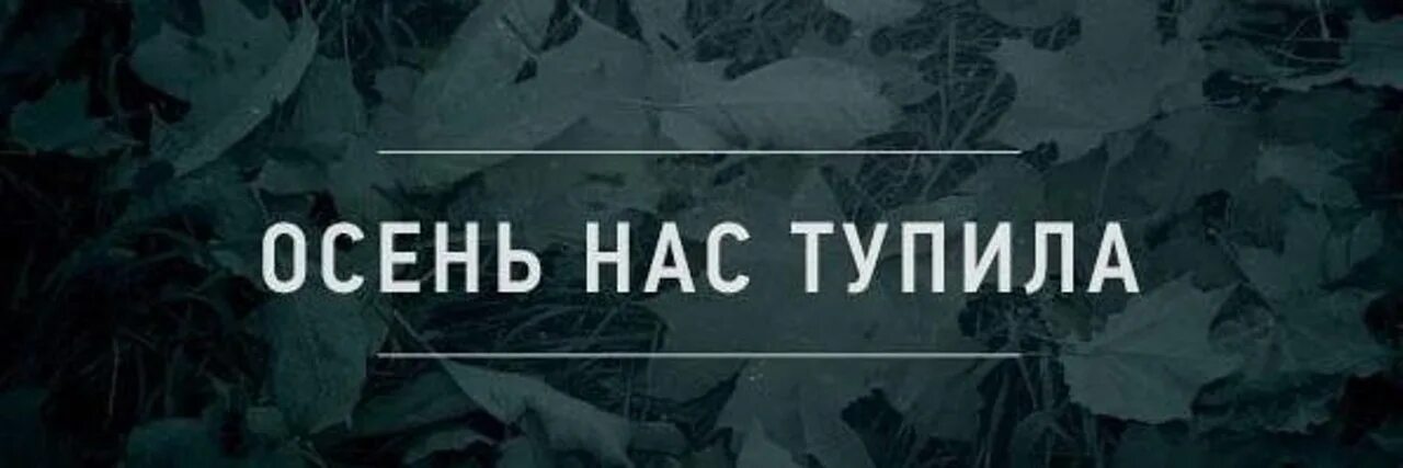 Почему сильно тупит. Осеннее обострение прикол. Игра слов картинки с надписями. Спился с пути. Мемы про осеннее обострение.