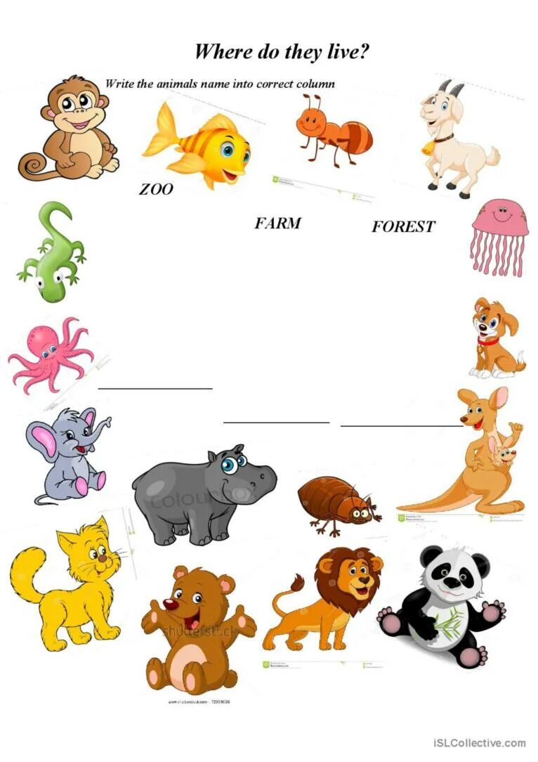 Do they like animals. Животные for Kids. Animals Worksheets. Where do animals Live. Animals Worksheets for Kids.
