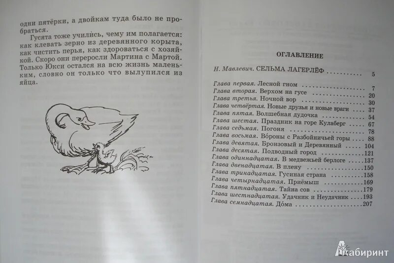 Книга чудесное приключение Нильса. Приключения Нильса с дикими гусями книга. Лагерлёф путешествие Нильса с дикими гусями сколько страниц. Путешествие Нильса с дикими гусями сколько страниц. План нильса с дикими