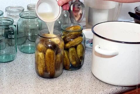 Заливка рассолом