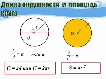 L окружности