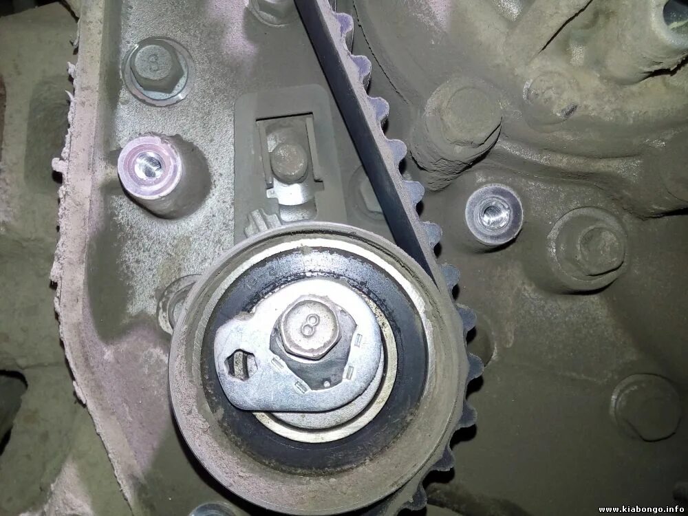 9 ремень грм. Грм бонго 3. Метки грм j3 киа бонго. Kia bongo 3 грм. Грм киа карнивал 2.