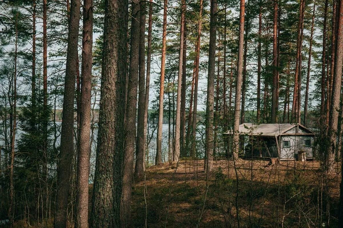 Поселок лесной телефон. Эко отель лес озеро зеркальное. Экоотель лес Санкт-Петербург. Эко отель лес Яппиля. Экоотель лес Санкт-Петербург озеро.