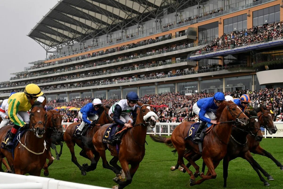 Большие скачки. Конные гонки. Скачки grand national. Узбекские скачки. Ели скачки.