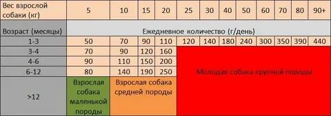 Какая температура у собак чихуахуа