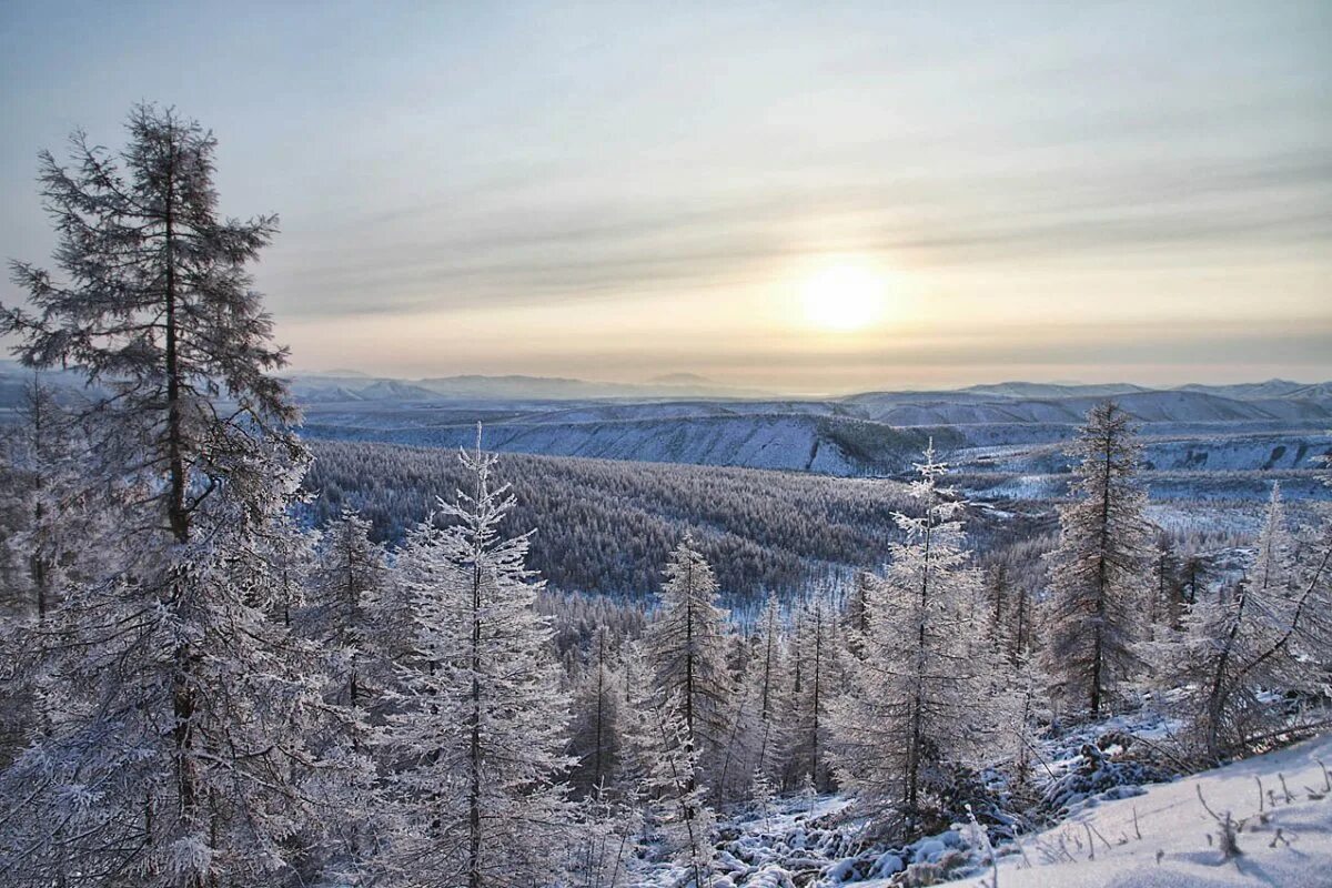 Колыма озеро джека лондона. Хакасия сибирская тайга. Дальнюю северную сибирь. Восточная сибирь. Тайга красноярского края климат.