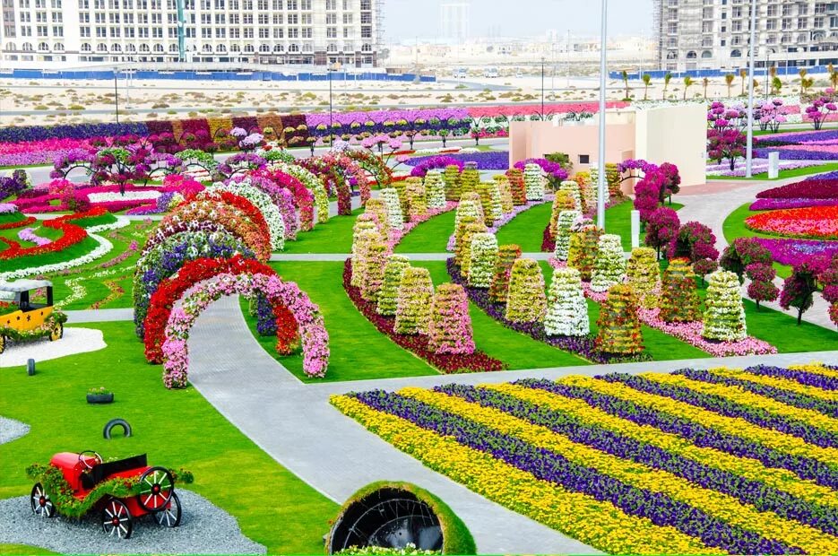 Самый большой парк. Парк Миракл Гарден Дубай. Сад в Дубае Миракл Гарден. Парк цветов Миракл Гарден. Парк цветов Miracle Garden Дубай.