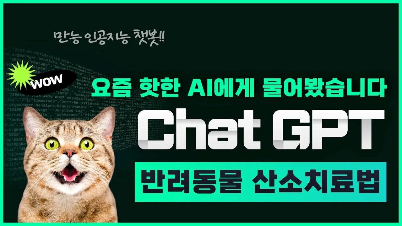 Gptchat. Логотип gptchat. gptchat 4. картинка gpt зелёная.