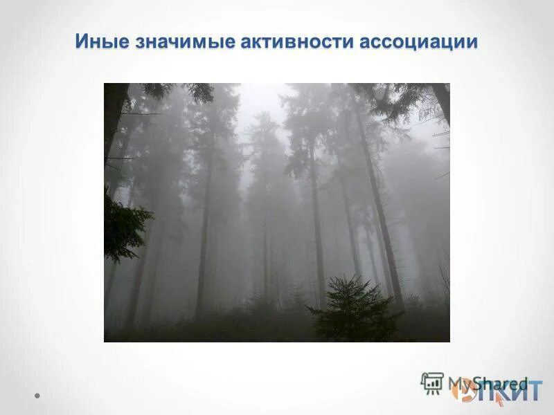 Слово иное означает. Слово иное означает. Экология слова. Определение лексического значения. Слово иное означает.