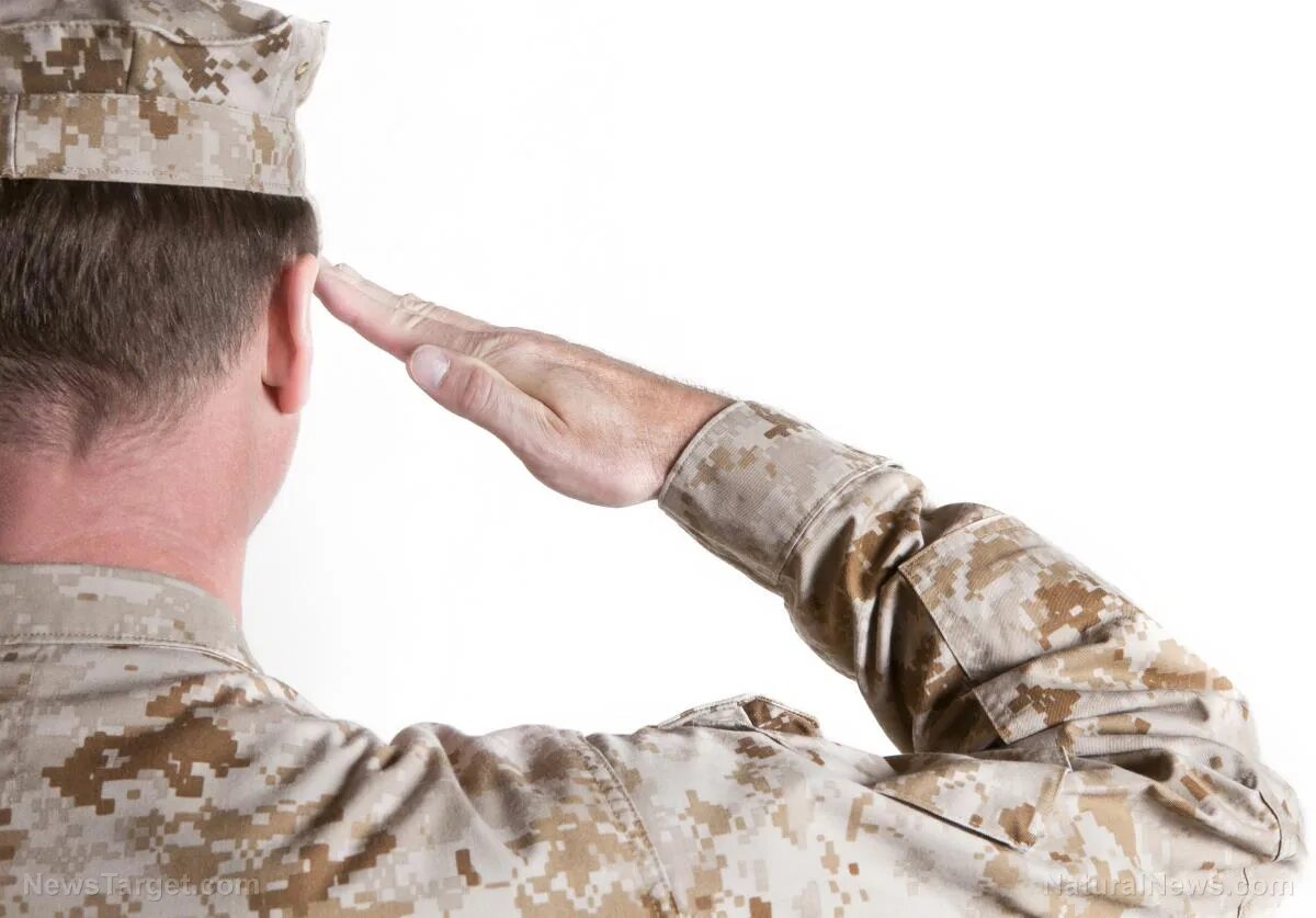 Почему прикладывают руку к голове. Отдать честь. Военный отдает честь. Солдат отдает честь. Воинское Приветствие.