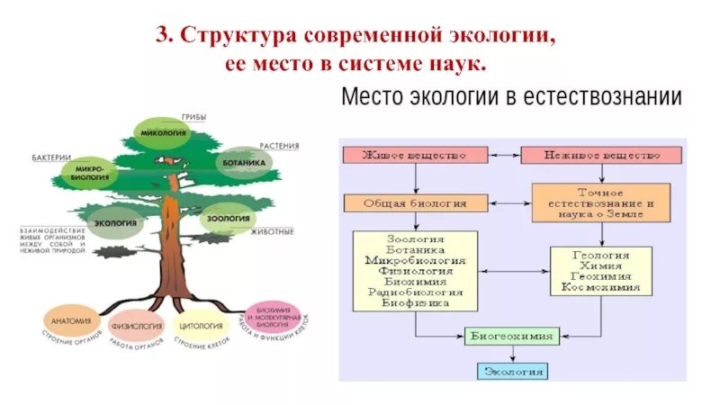 Логическая схема структура современной экологии. 4. Структура современной экологии.. Экология схема. Структура и основные разделы экологии.